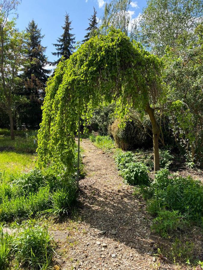 Oleśnica Hotel Garden מראה חיצוני תמונה